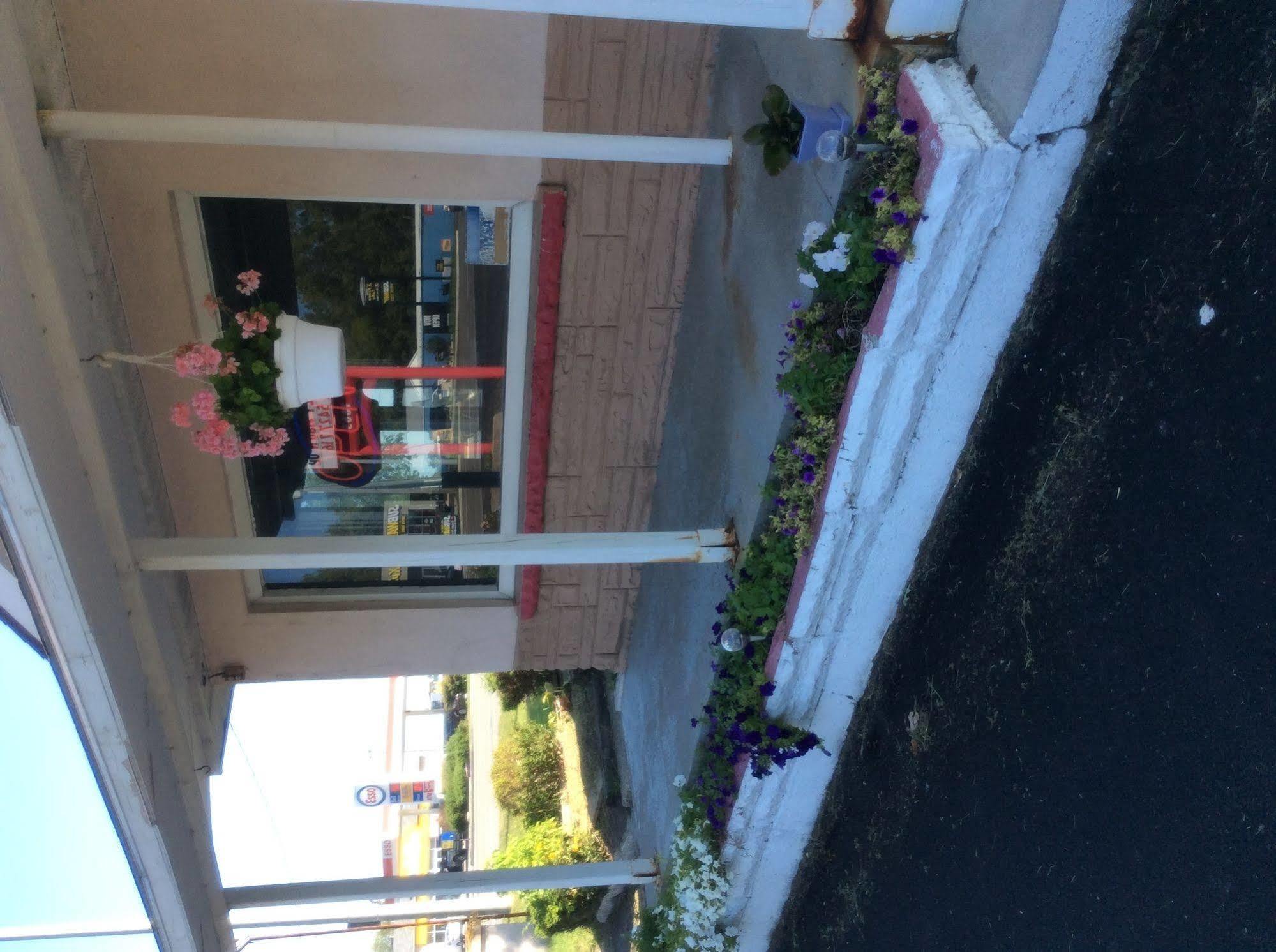 Palace Inn Motel Sarnia Kültér fotó